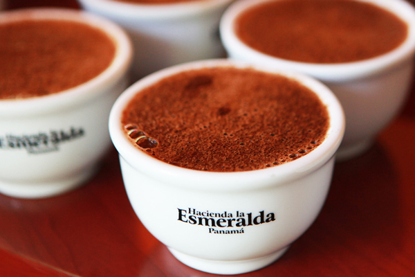 Кофе с плантации Hacienda la Esmeralda